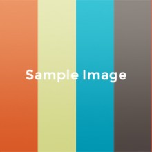 sampleimage-460×230